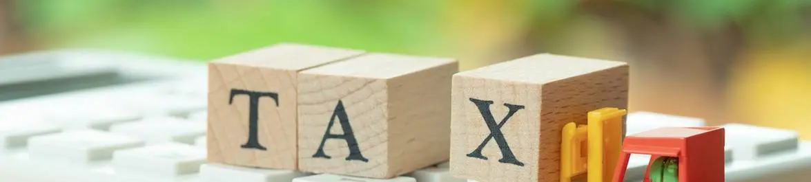 The Case for Income Tax Reform in the US and UK