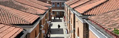 PhD in Economics at Ca' Foscari University of Venice